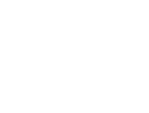 bean illustration